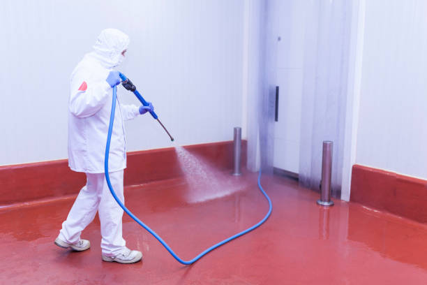 Best Driveway Pressure Washing  in Culpeper, VA