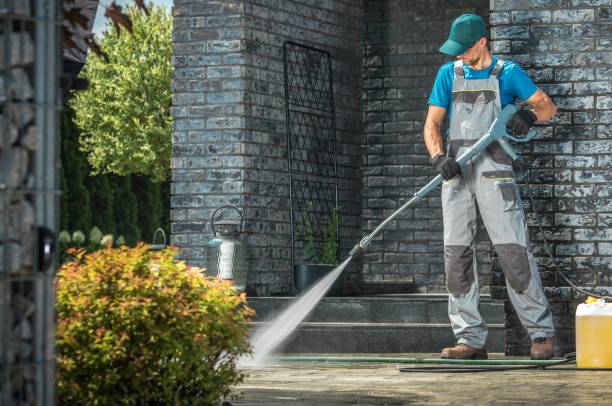 Best Solar Panel Cleaning  in Culpeper, VA